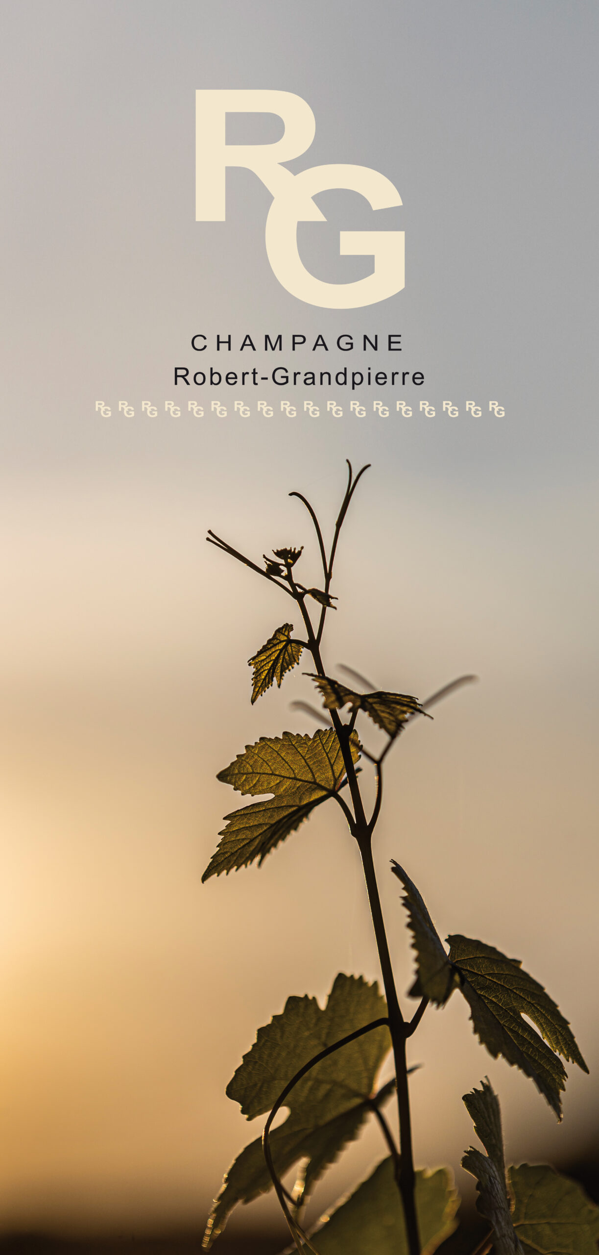 champagne-robert-grandpierre